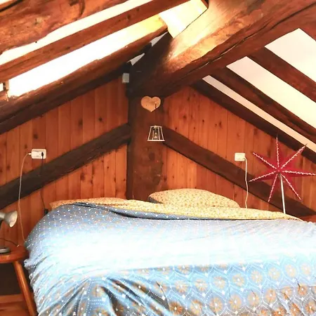 Casa Nemesis Alpehytte